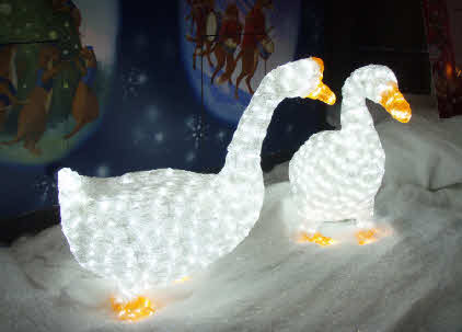 Light Sculpture - Wild Goose