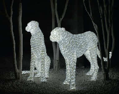 Light Sculpture - Big Cats